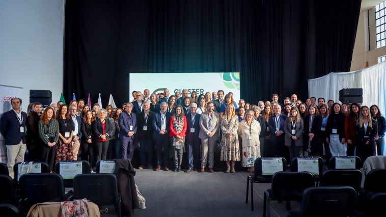 Cluster Portuguese Circularity