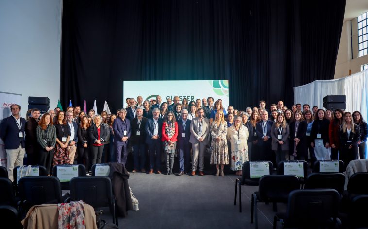 Cluster Portuguese Circularity