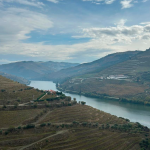 IVDP denominações de origem