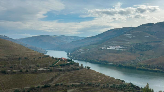 IVDP denominações de origem