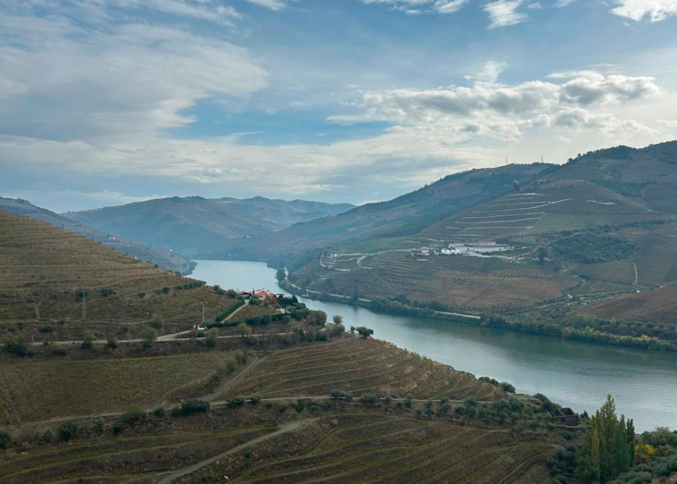 IVDP denominações de origem