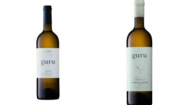 Guru