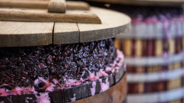 REDWine fermenmtação vinho