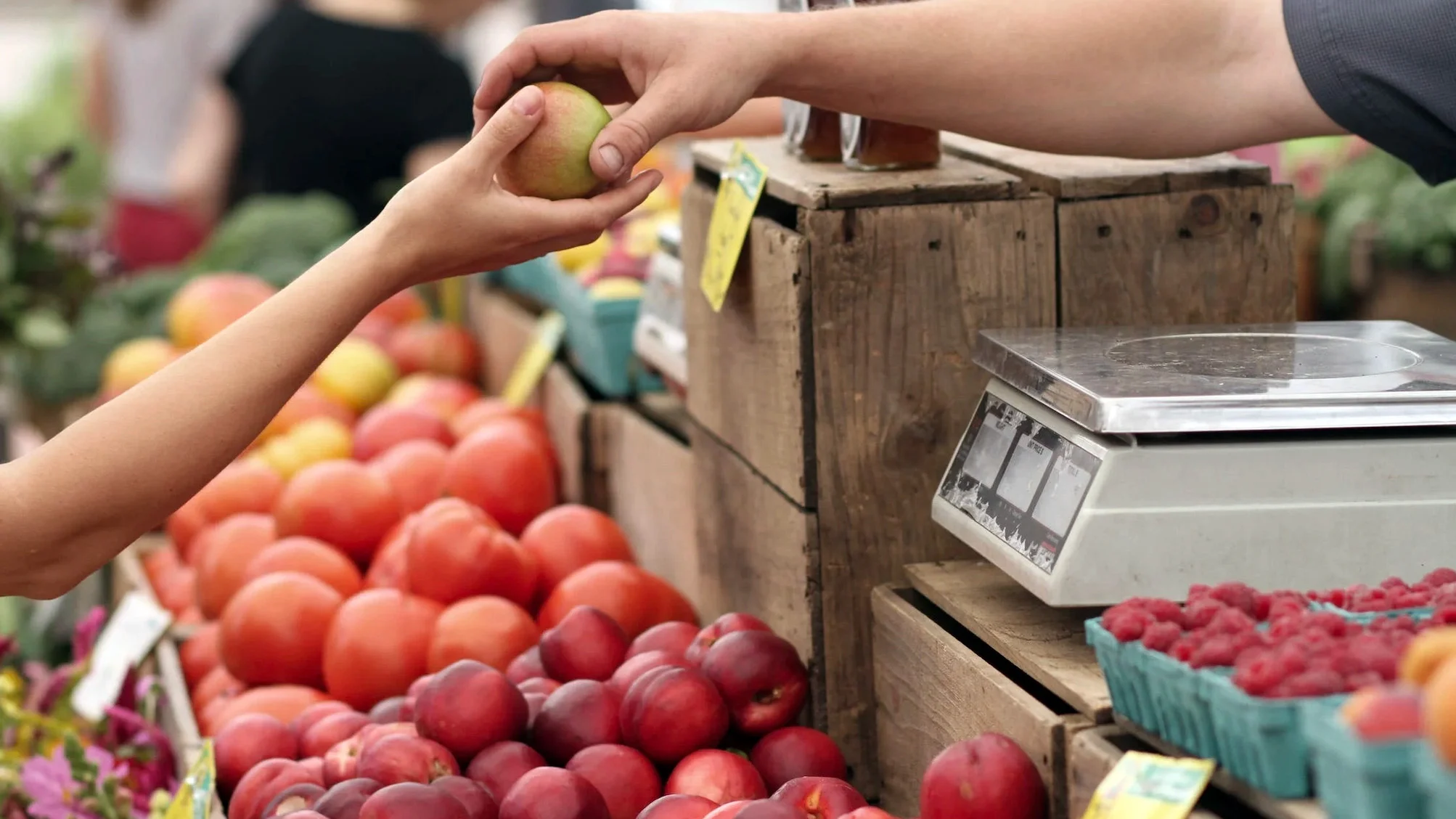 Preço do cabaz alimentar baixa ligeiramente pela primeira vez desde o início do ano