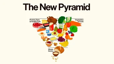 EUA pirâmide alimentar