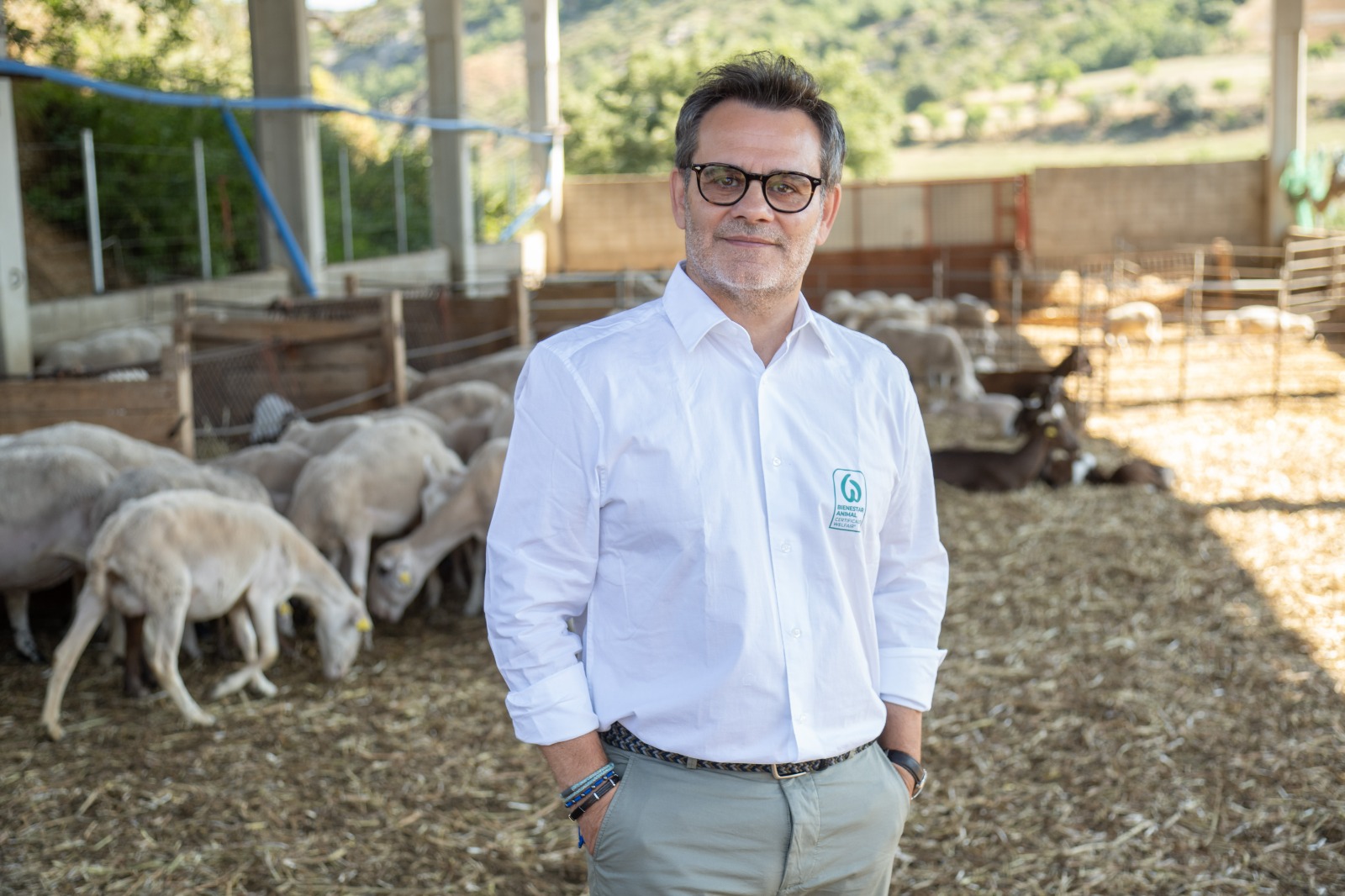 “O bem-estar animal não é uma questão estética nem emocional: é um domínio técnico, mensurável e verificável”