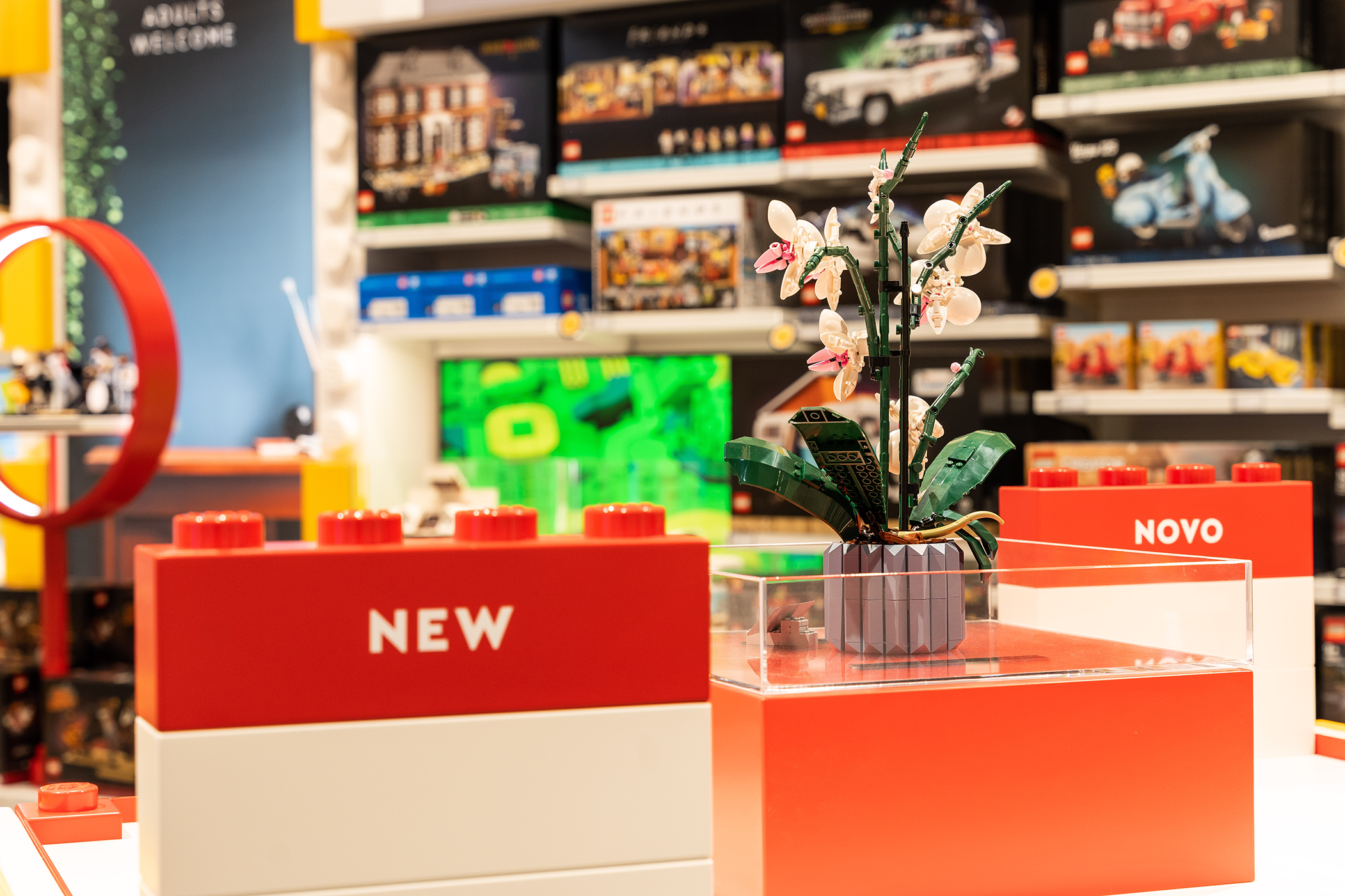 Coimbra vai receber a primeira loja certificada LEGO da Região Centro