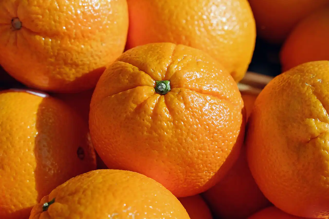 Laranja do Algarve estará em destaque na Fruit Logistica