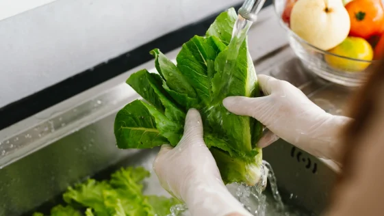 segurança alimentar