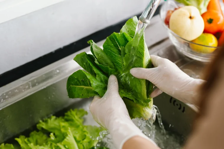 segurança alimentar