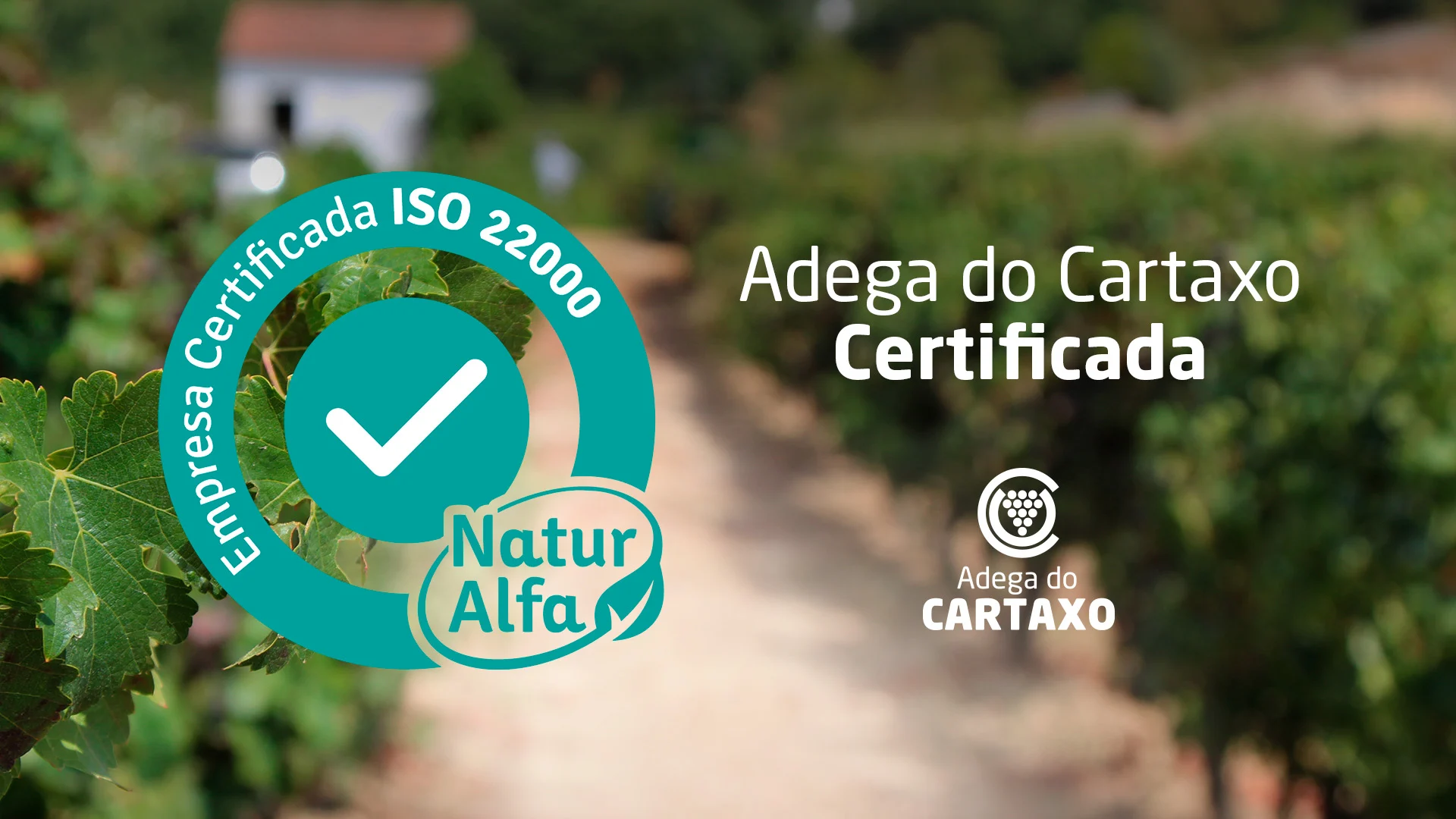 Vinhas da Adega do Cartaxo com selo de certificação ISO 22000 NaturAlfa, destacando a certificação em segurança alimentar.