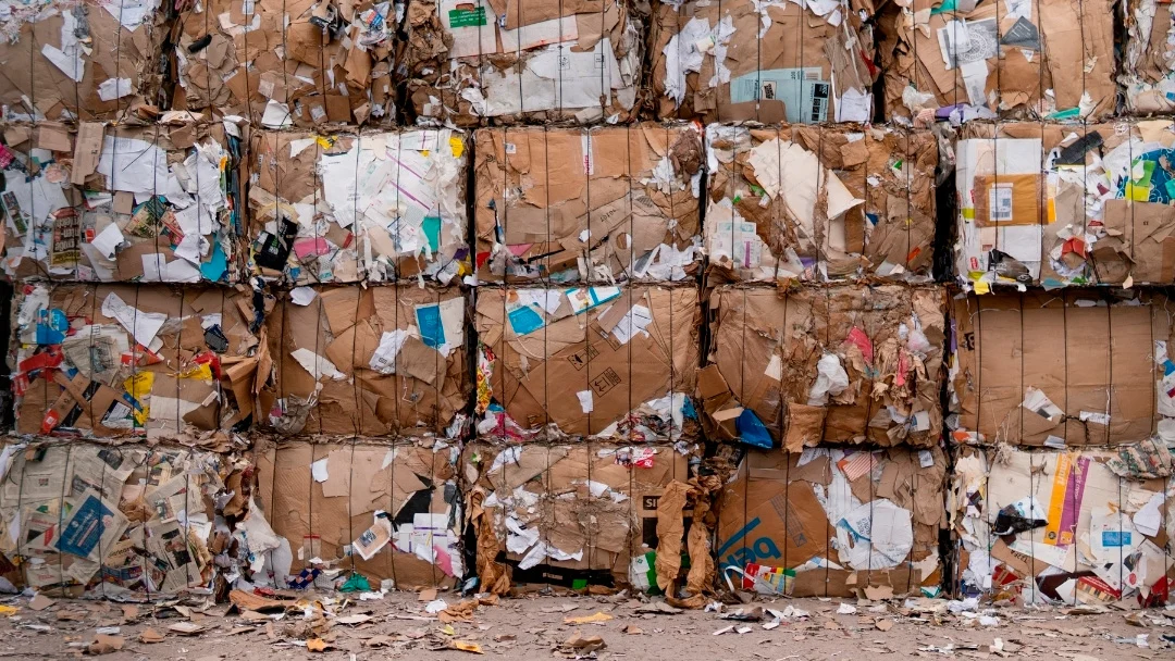 Associação Smart Waste Portugal lança Movimento para a Circularidade do Papel