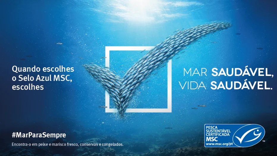 MSC promove pesca sustentável com iniciativa “Semana Mar para Sempre”