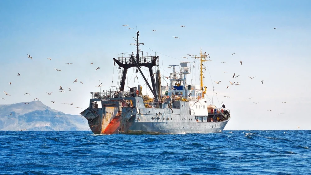 Espanha lidera valor das capturas de pesca na UE