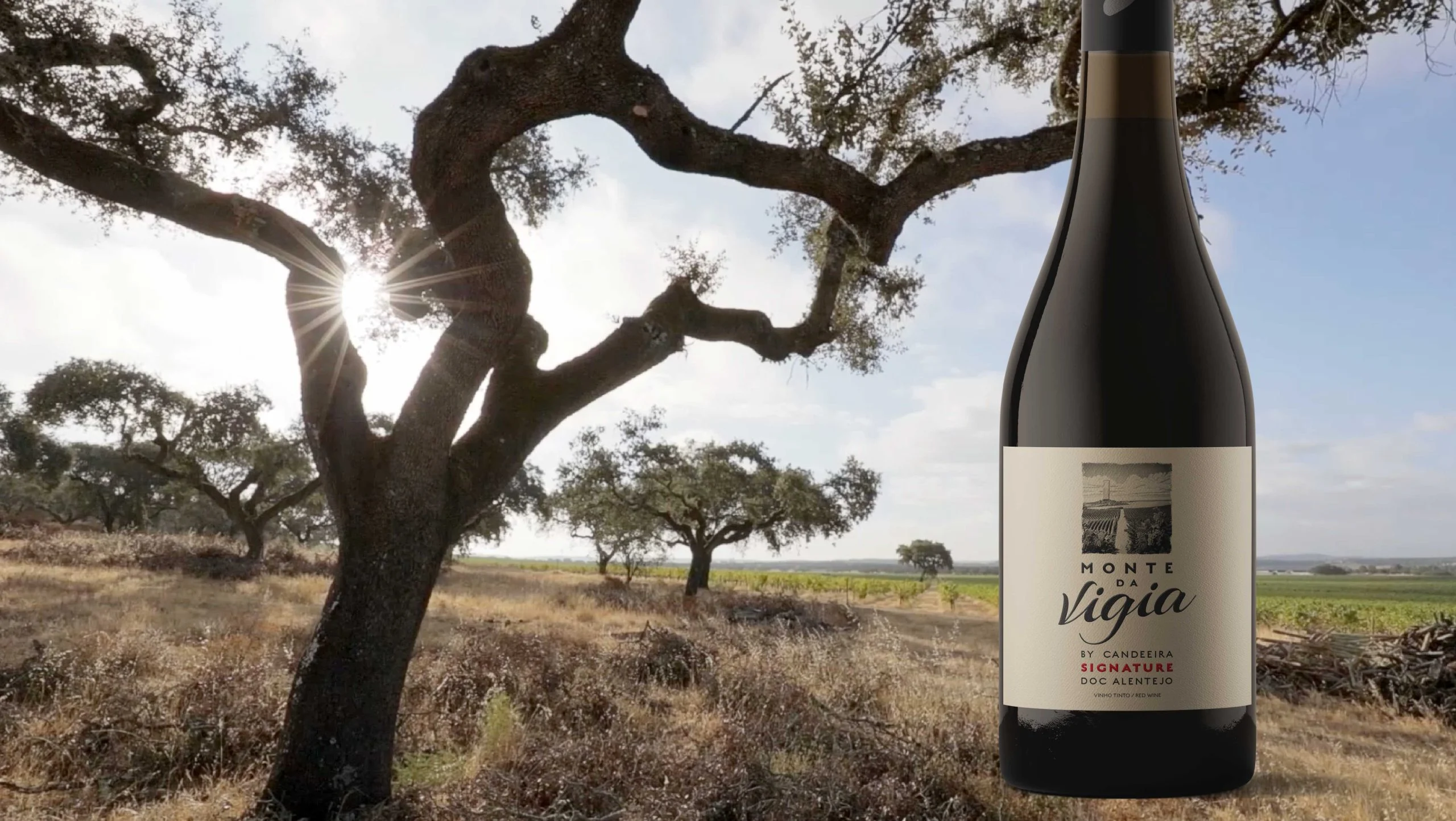 Parras Wines apresenta Monte da Vigia Signature 2023