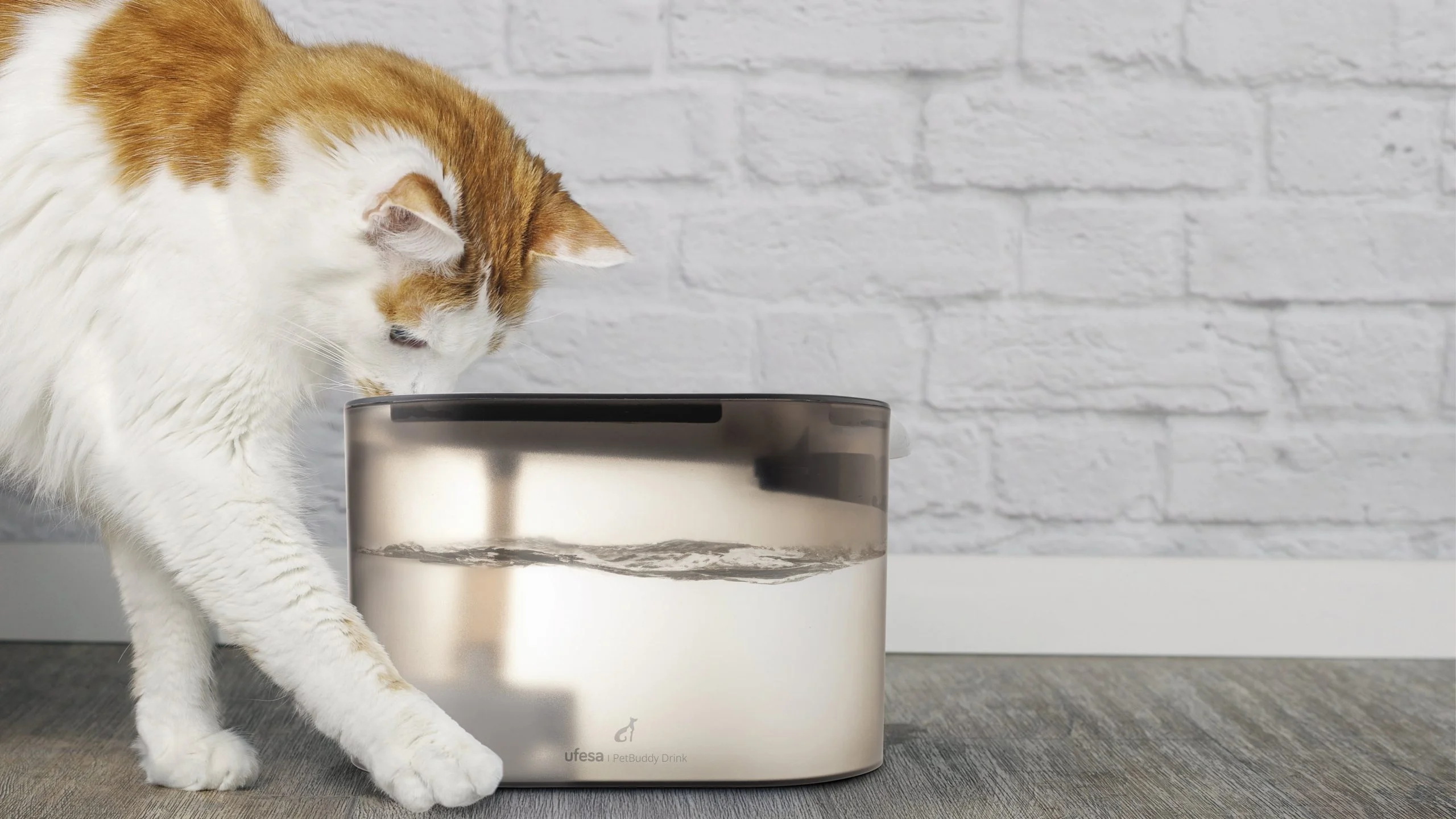 Ufesa reforça aposta no mercado de pet care com nova gama de produtos