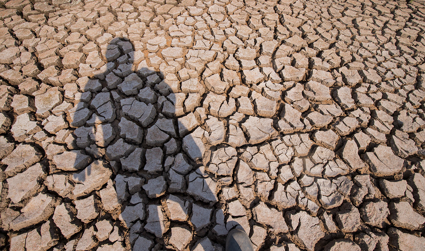 Calor extremo ameaça sistemas alimentares globais e coloca em risco mais de mil milhões de pessoas