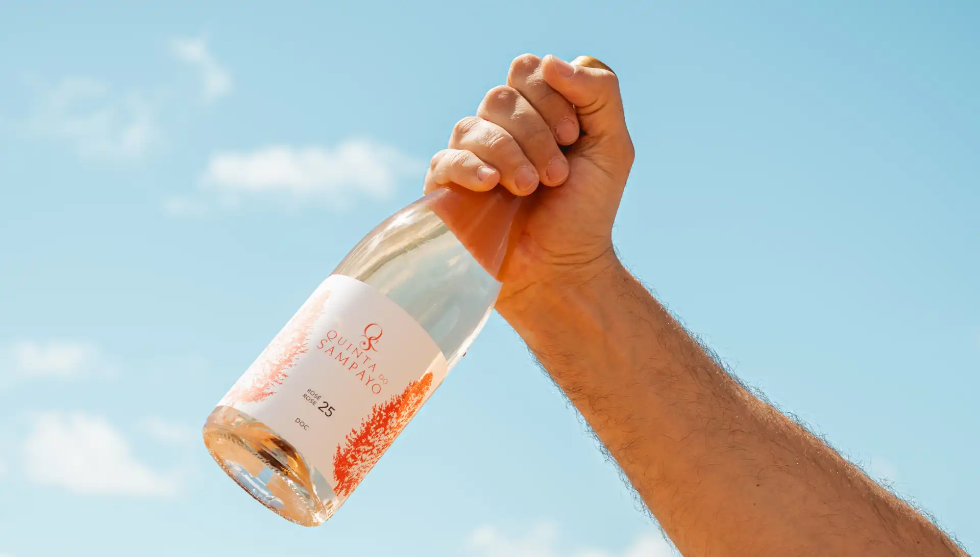 Quinta do Sampayo estreia-se nos rosés com edição vegan limitada a 1350 garrafas