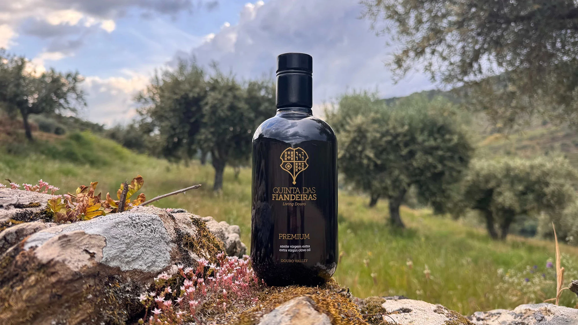 Quinta das Fiandeiras lança azeite premium