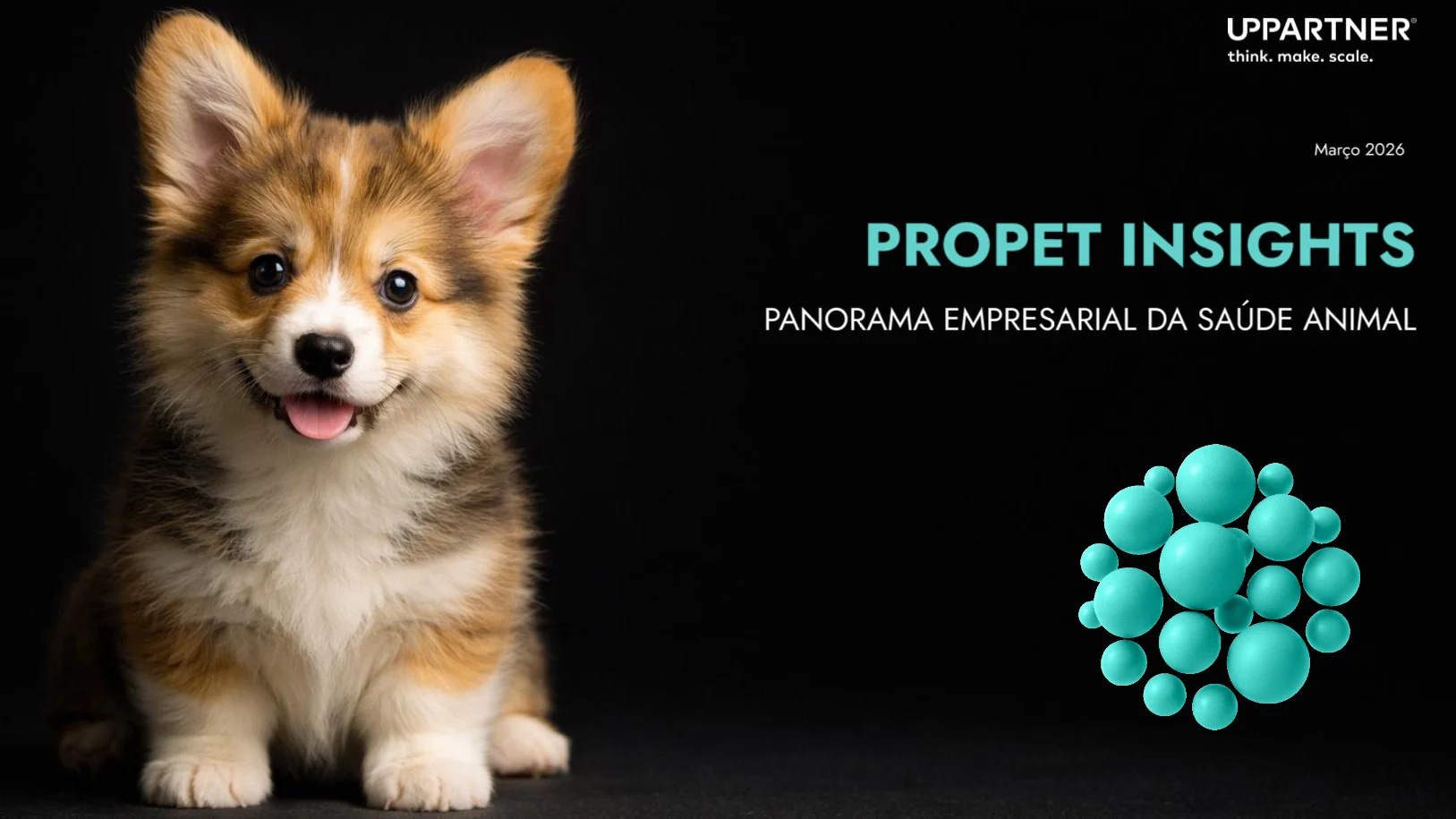 Crescimento do mercado pet está a redefinir quem tem condições para competir