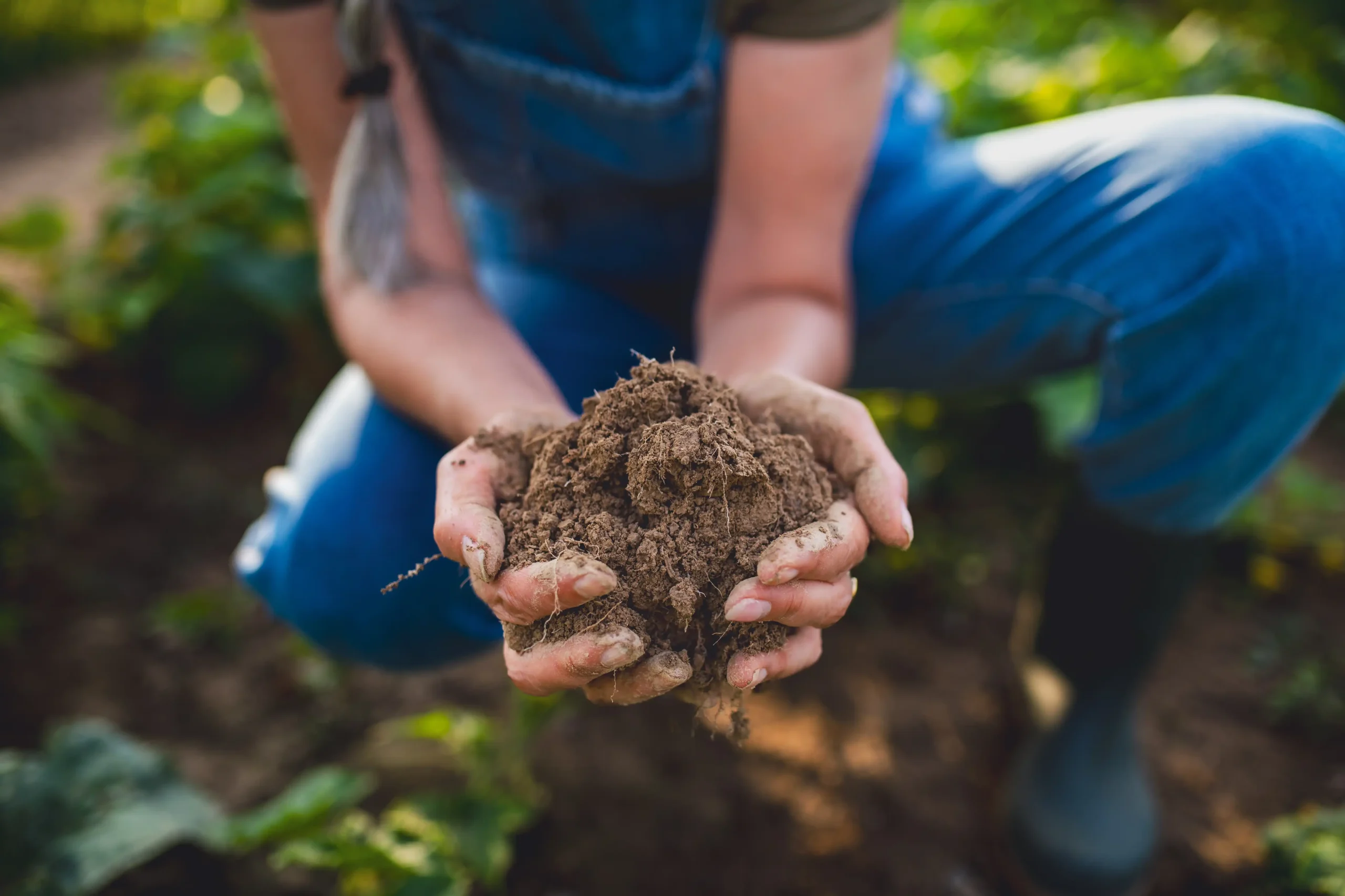 Portugal como hub europeu de agricultura regenerativa