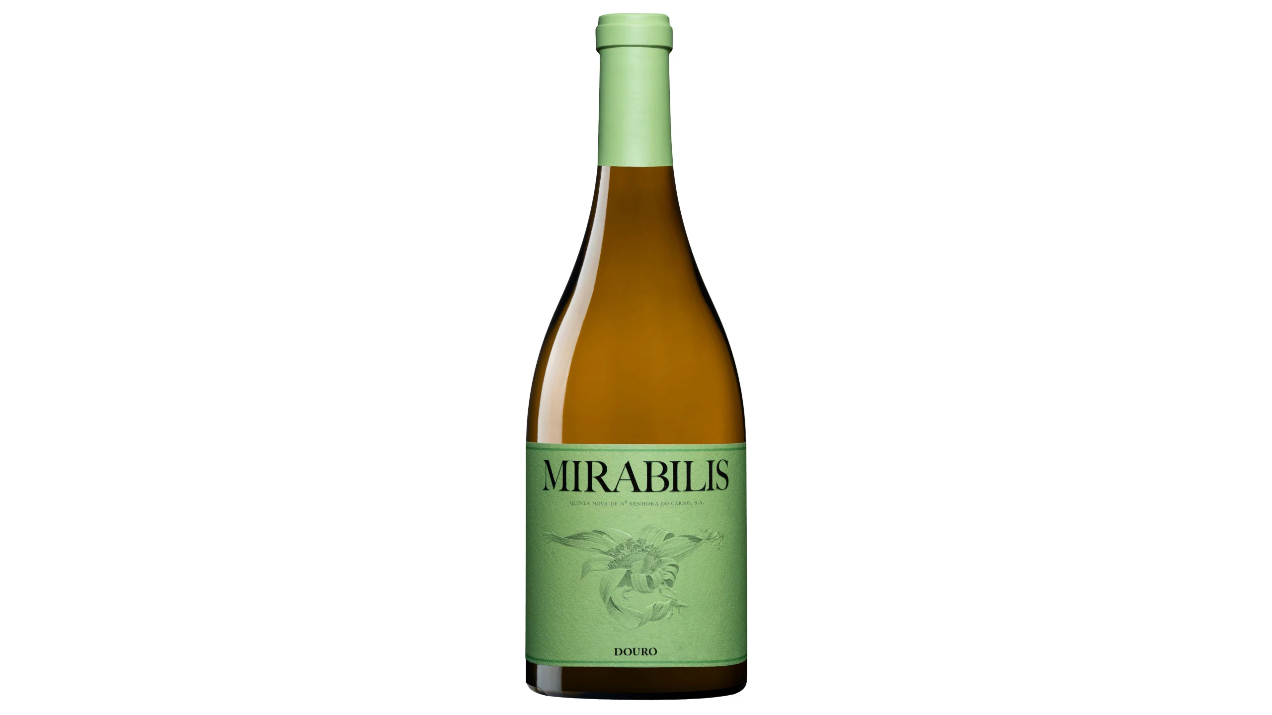 Mirabilis Branco 2024