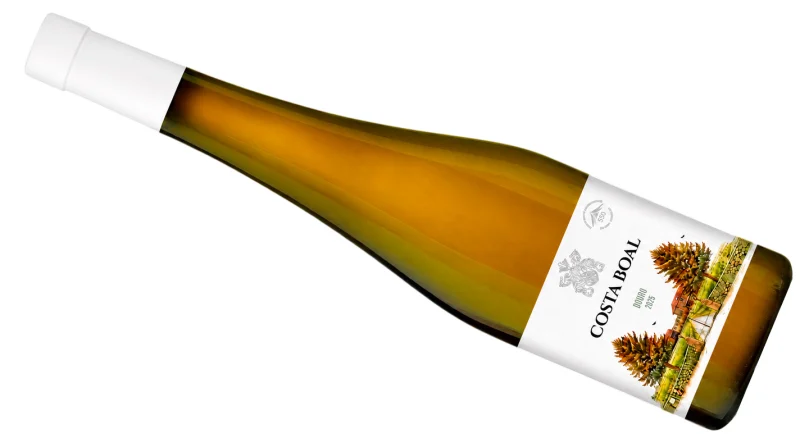 Costa Boal apresenta a nova colheita Branco 2025 