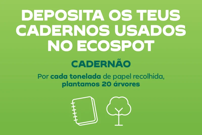 Continente transforma cadernos usados em árvores