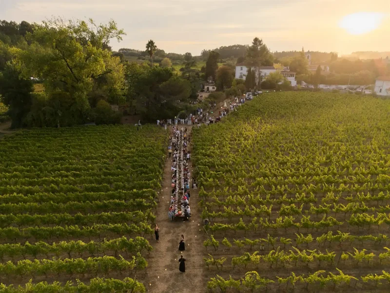 São Domingos Summer Fest regressa à Bairrada