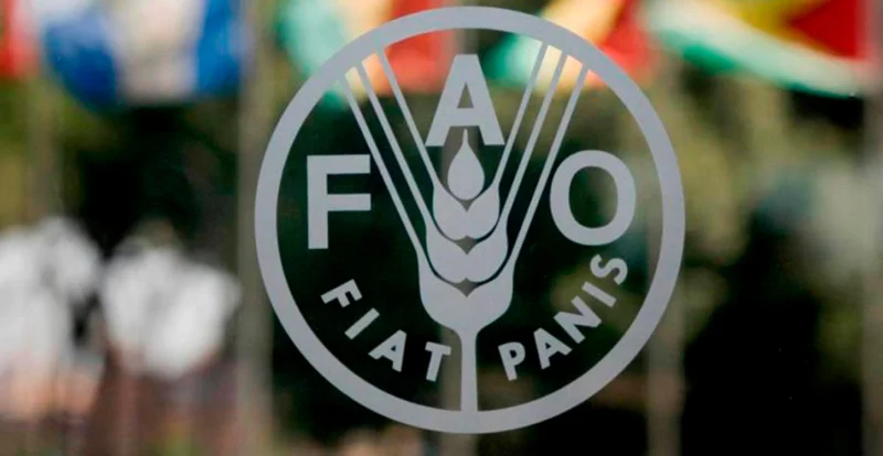Risco pressiona preços dos alimentos para máximo desde 2022