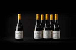 六瓶 Olho de Mocho 葡萄酒，单一葡萄园 2024 年，维迪盖拉 DOC 阿连特茹，来自 Herdade do Rocim。