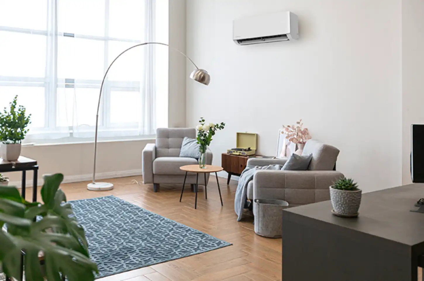 Sala de estar luminosa com dois sofás, mesa de centro, plantas, tapete e ar condicionado