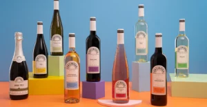 Nove garrafas de vinhos portugueses Contemporal, incluindo espumante, tintos, brancos e rosé, sobre cubos coloridos