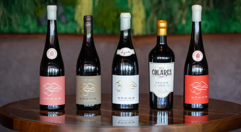 Infinitude Wines quadruplica vendas e prepara expansão internacional