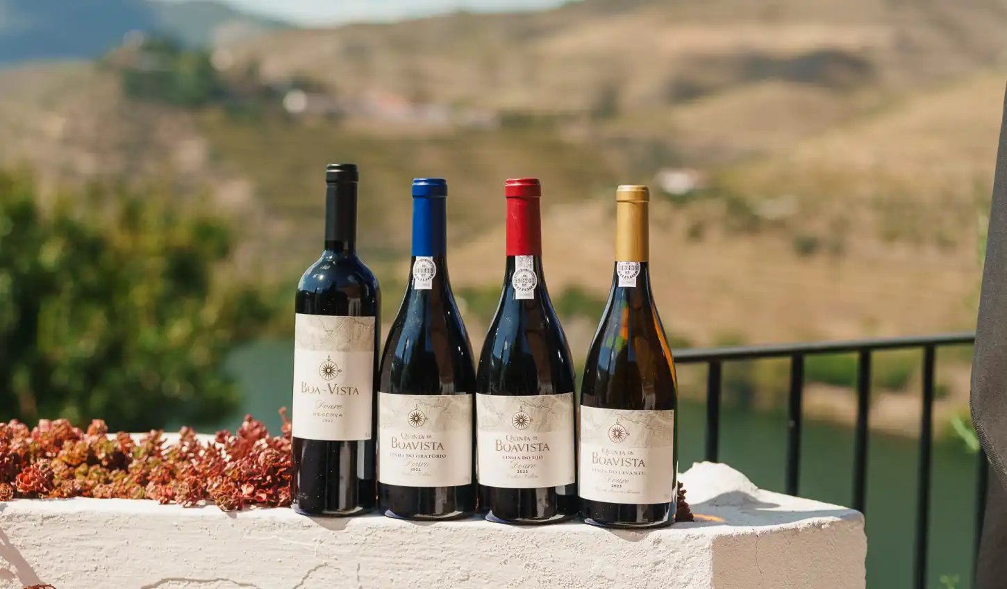 Quatro garrafas de vinho Quinta da Boa Vista, expostas numa varanda com vinhas ao fundo