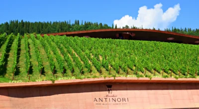 Roubo de vinho premium ganha escala na Europa e expõe novo risco para produtores e distribuição