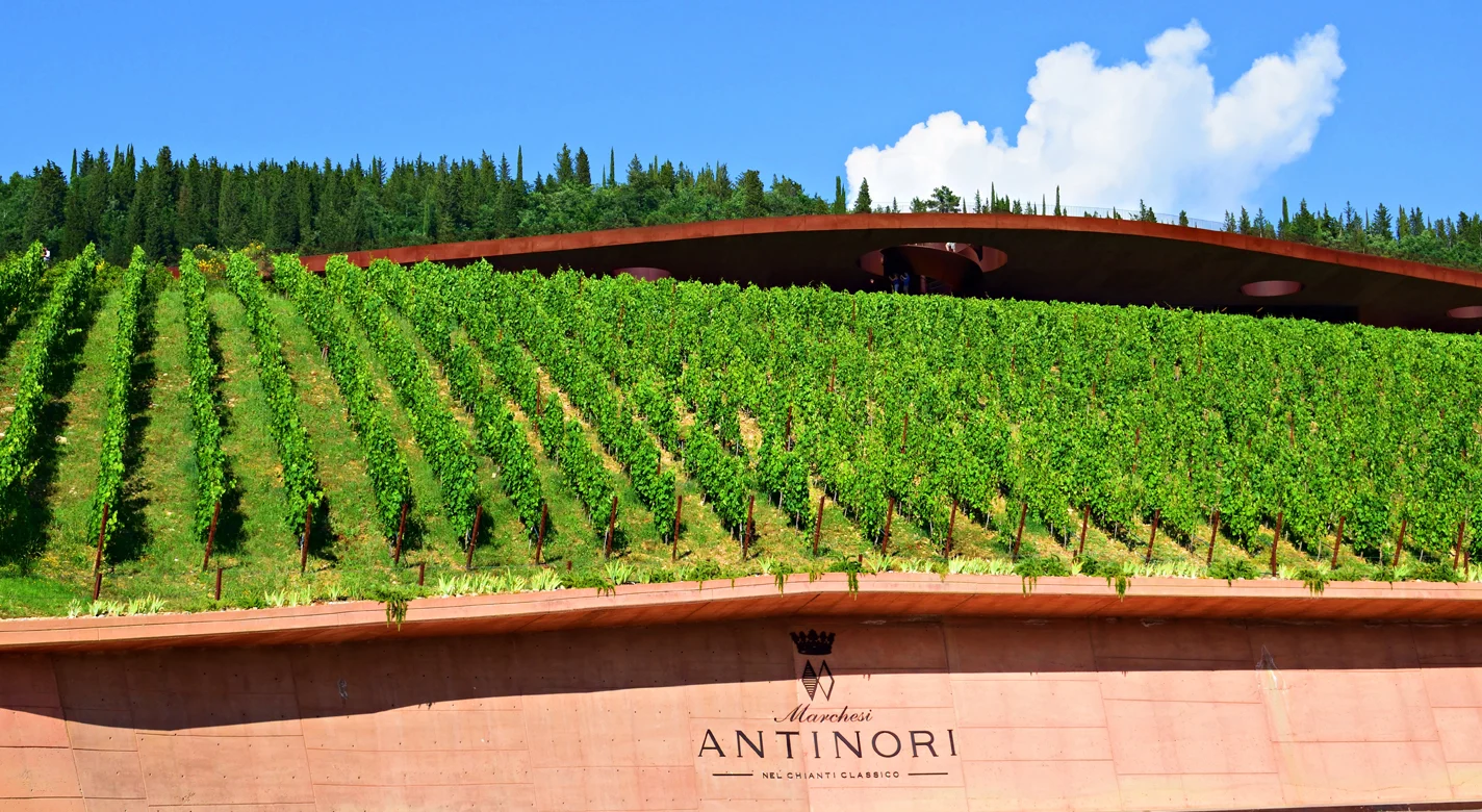 Vinhas cobrem a adega moderna Marchesi Antinori, com a inscrição «Antinori nel Chianti Classico»