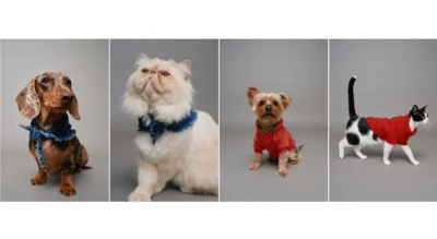 Salsa Jeans e ZU reforçam parceria com nova coleção para animais de estimação