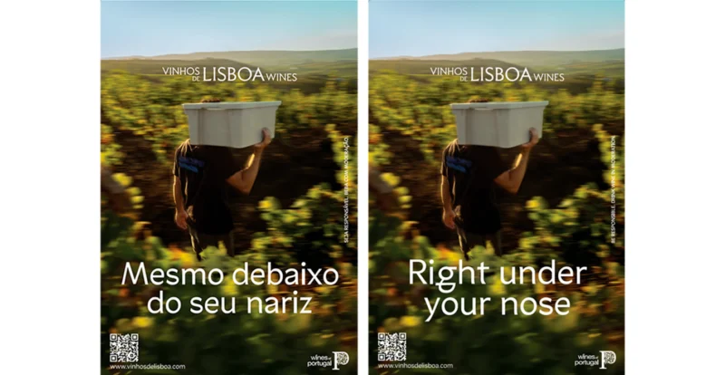 Vinhos de Lisboa renovam identidade visual