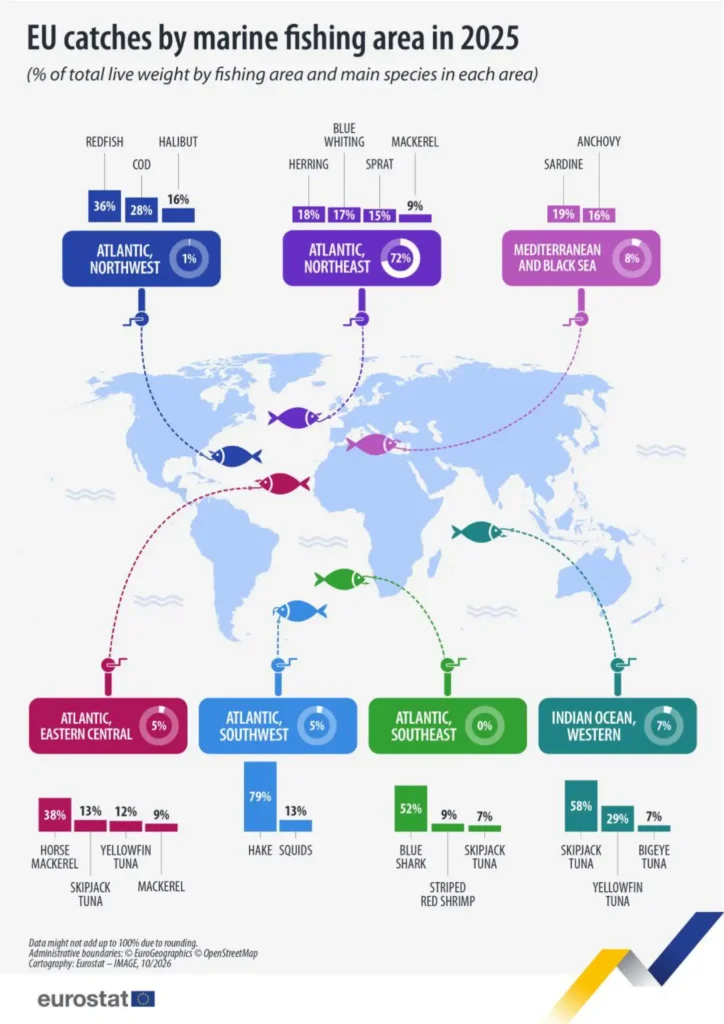 Infografia das capturas da UE em 2025: o Atlântico Nordeste representa 72% do peso vivo total, seguido de outras áreas marítimas