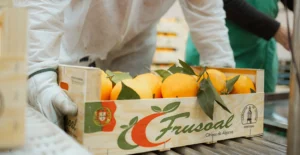 Trabalhadores manuseiam uma caixa de laranjas numa linha de embalagem