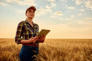 Mulher num campo de trigo, a segurar um tablet